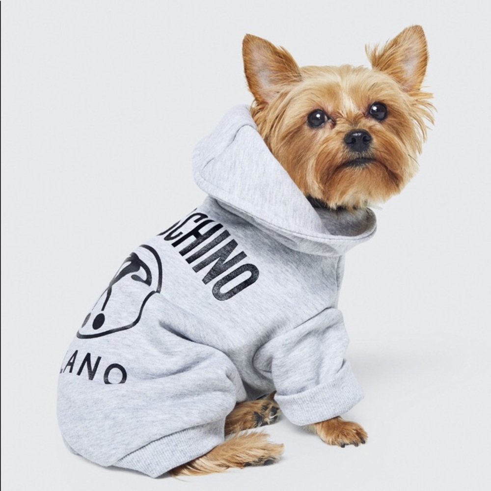 Moschino x H&M dog hoodie